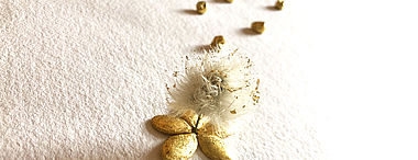 Programme de Noël 2025